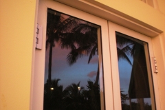 palm-trees-in-window-1
