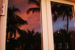 palm-trees-in-window-2