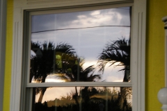 palm-trees-in-window-4
